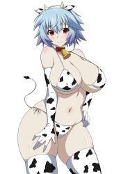Rule 34 | 1girl, absurdres, animal ears, animal print, bell, bikini, blue hair, breasts, cleavage, cow print, fake animal ears, fake horns, fake tail, hair between eyes, hand on own hip, highres, horns, infinite stratos, looking at viewer, neck bell, red eyes, sarashiki tatenashi, shiny skin, short hair, simple background, smile, solo, space gorilla, swimsuit, tail, thighhighs, white background