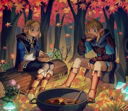 Rule 34 | 1boy, 1girl, :t, armor, autumn leaves, black gloves, black pants, blonde hair, blue cape, blue shirt, blush, boots, bowl, braid, brown footwear, cape, closed mouth, crown braid, earrings, eating, fingerless gloves, flat chest, flower, food, forehead, forest, full body, gloves, glowing, grass, green eyes, hair ornament, hairclip, holding, holding bowl, holding food, holding spoon, holding stick, hood, hood down, jewelry, juliet sleeves, knee boots, korok, ladle, layered sleeves, leaf, light blush, link, log, long sleeves, maple leaf, mushroom, nature, night, nintendo, outdoors, pants, parted bangs, pink flower, pointy ears, pot, pouch, princess zelda, puffy sleeves, rock, shijima (4jima), shirt, short hair, short over long sleeves, short sleeves, shoulder armor, sidelocks, sitting, spoon, stew, stick, the legend of zelda, the legend of zelda: breath of the wild, the legend of zelda: tears of the kingdom, tree, triforce, undershirt, white pants