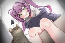 Rule 34 | 1girl, animal, blurry, blurry background, blush, brown cat, buibui, cat, commentary, demon girl, demon tail, feet out of frame, green eyes, grin, hair ornament, hairclip, highres, hololive, hood, hoodie, long hair, looking at viewer, multicolored hair, pink hair, purple hair, shirt, sidelocks, sitting, smile, solo, streaked hair, symbol-only commentary, t-shirt, tail, teeth, tokoyami towa, twintails, virtual youtuber, white shirt