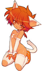 Rule 34 | 1girl, absurdres, animal ears, bad id, bad pixiv id, blade (galaxist), breasts, cat ears, cat tail, collar, highres, kneeling, nipples, no panties, red eyes, red hair, small breasts, solo, tail, thighhighs, torn clothes