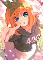 Rule 34 | 1girl, :o, absurdres, black hoodie, blue eyes, blurry, blush, cherry blossoms, clothes writing, commentary, dappled sunlight, depth of field, eyebrows hidden by hair, falling petals, foreshortening, from above, go-toubun no hanayome, green hairband, green ribbon, hair between eyes, hair ribbon, hairband, highres, hood, hood down, hoodie, light particles, long sleeves, looking at viewer, medium hair, nakano yotsuba, open hand, open mouth, orange hair, petal on face, petals, reaching, reaching towards viewer, ribbon, solo, sparkling eyes, straight hair, sunlight, tamago sando, wide-eyed