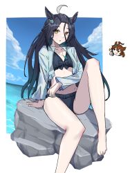 Rule 34 | 2girls, :o, agnes tachyon (lunatic lab) (umamusume), agnes tachyon (umamusume), ahoge, animal ears, bikini, black bikini, black hair, blue sky, breasts, camera, cloud, collarbone, day, flower, hair flower, hair ornament, highres, horse ears, horse girl, jewelry, leg up, long hair, long sleeves, looking at viewer, loose hair strand, manhattan cafe (the bubbles that i see with you) (umamusume), manhattan cafe (umamusume), mitsune (3chune), multiple girls, necklace, ocean, official alternate costume, official alternate hairstyle, open clothes, open shirt, rock, sitting, sitting on rock, sky, small breasts, swimsuit, umamusume, yellow eyes