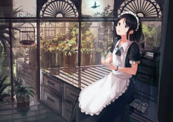 Rule 34 | 1girl, absurdres, apron, birdcage, black hair, book, bracelet, brown eyes, bug, butterfly, cage, cup, drinking glass, hennekobakatesu, highres, indoors, insect, jewelry, looking away, maid, maid apron, maid headdress, original, parted bangs, plant, potted plant, short hair, sitting, solo, wine glass