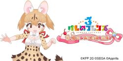 Rule 34 | 1girl, animal ears, cat ears, cat girl, cat tail, extra ears, kemono friends, kemono friends 3, large-spotted genet (kemono friends), looking at viewer, official art, simple background, solo, tail