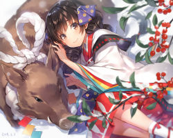 Rule 34 | 1girl, animal, black hair, blurry, blurry foreground, blush, boar, bokeh, braid, brown eyes, brown hair, cherry, chinese zodiac, closed mouth, commentary request, dated, depth of field, food, fruit, gradient hair, hair ribbon, hakama, hakama skirt, japanese clothes, kimono, knees up, leaf, light particles, long hair, long sleeves, looking at viewer, lying, mmu, multicolored hair, new year, on side, original, plant, purple ribbon, red hakama, ribbon, rope, shimenawa, sidelocks, skirt, smile, socks, solo, twin braids, twintails, white background, white kimono, white socks, wide sleeves, year of the pig