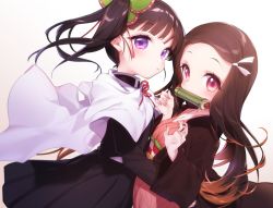 Rule 34 | 2girls, bamboo, bit gag, black hair, black jacket, black skirt, blush, brown hair, butterfly hair ornament, cape, closed mouth, commentary request, forehead, gag, gradient hair, hair ornament, hair ribbon, jacket, japanese clothes, kamado nezuko, kimetsu no yaiba, kimono, long hair, long sleeves, looking at viewer, mouth hold, multicolored hair, multiple girls, neck ribbon, obi, open clothes, parted bangs, pink eyes, pink kimono, pleated skirt, purple eyes, red ribbon, ribbon, sash, side ponytail, simple background, skirt, tousaki shiina, tsuyuri kanao, very long hair, white background, white cape, white ribbon, wide sleeves