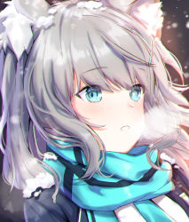 Rule 34 | 1girl, absurdres, animal ears, black jacket, blue archive, blue eyes, blue scarf, blush, breath, cross hair ornament, facing viewer, hair ornament, highres, jacket, looking afar, medium hair, mismatched pupils, parted lips, scarf, shiroko (blue archive), silver hair, snow, snow on head, solo, unha, upper body, winter