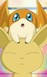 Rule 34 | blue eyes, closed eyes, digimon, digimon (creature), digimon frontier, happy, neamon, open mouth, patamon, screencap, smile, wings
