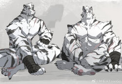 Rule 34 | 1boy, abs, animal ears, arknights, bara, collage, completely nude, convenient arm, convenient leg, crossed legs, furry, furry male, head tilt, highres, large pectorals, looking at viewer, male focus, mountain (arknights), muscular, muscular male, nude, pectorals, scar, scar across eye, scar on face, short hair, sitting, soles, thick eyebrows, tiger boy, tiger ears, toes, topless male, trtoutoongo, white fur, white hair