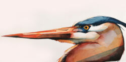 Rule 34 | absurdres, animal, animal focus, bird, close-up, closed mouth, commentary, empty eyes, english commentary, from side, great blue heron, heron, highres, no humans, orange eyes, original, painting (medium), realistic, remysant, sidelighting, simple background, traditional media, watercolor (medium), white background