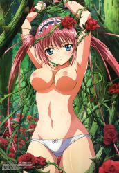 Rule 34 | 1girl, absurdres, airi (queen&#039;s blade), armpits, arms up, bdsm, blue eyes, blush, bondage, bound, bow, bow panties, breasts, female focus, flower, forest, headdress, highres, long hair, looking at viewer, maid headdress, megami magazine, nature, navel, nipples, noguchi takayuki, nude filter, panties, pink hair, queen&#039;s blade, red flower, red rose, rose, solo, thigh gap, thighs, third-party edit, thorns, topless, torn clothes, torn panties, twintails, underwear, very long hair, wrist cuffs