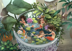 Rule 34 | 5girls, :d, ahoge, animal, bikini, bikini top only, black hair, blush stickers, braid, brown hair, cat, child, female focus, fins, flower, hat, highres, lily pad, long hair, mermaid, mini person, minigirl, monster girl, multiple girls, nanami tomorou, open mouth, original, partially submerged, plant, ponytail, pot, potted plant, smile, straw hat, submerged, swimming, swimsuit, teeth, twin braids, upper teeth only, water