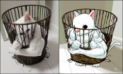 Rule 34 | basket, cat, closed mouth, green eyes, highres, in container, indoors, keke (kokorokeke), looking to the side, no humans, original, photo (medium), reference inset, white cat, white fur