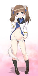 Rule 34 | 10s, 1girl, animal ears, between legs, black socks, blue eyes, blue ribbon, blue shirt, blush, brave witches, brown footwear, brown hair, clothes lift, collared shirt, dress shirt, eyebrows, flat chest, full body, georgette lemare, groin, hair ribbon, harukigenia, highres, jacket, kneehighs, legs apart, lifting own clothes, long hair, long sleeves, looking at viewer, navel, no pants, panties, panty pull, pigeon-toed, pink background, pussy, pussy peek, ribbon, shadow, shirt, shirt lift, shoes, socks, solo, standing, stomach, tail, tail between legs, twintails, underwear, white background, white jacket, white panties, world witches series