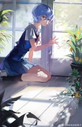 Rule 34 | 1girl, ayanami rei, black socks, blue dress, blue hair, chinese commentary, commentary request, door, dress, floor, foot out of frame, hair between eyes, hand up, highres, indoors, kneehighs, looking at viewer, neck ribbon, neon genesis evangelion, on floor, parted lips, pinafore dress, plant, potted plant, red eyes, red ribbon, ribbon, seiza, shirt, shoes, short hair, sitting, sleeveless dress, socks, solo, white footwear, white shirt, window, yuanyinkaiko