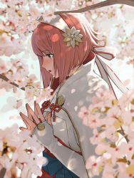 Rule 34 | 1girl, blurry, blush, branch, cherry blossoms, depth of field, fire emblem, fire emblem fates, full-face blush, hairband, highres, japanese clothes, looking to the side, name connection, nintendo, object namesake, own hands together, petals, pink hair, red eyes, sakura (fire emblem), short hair, solo, steepled fingers, tree, twitter username, ushiomi, white hairband