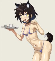 Rule 34 | 1girl, animal ear fluff, animal ears, bikini, black hair, breasts, collar, collarbone, cup, dog ears, dog tail, fangs, front-tie bikini top, front-tie top, highres, holding, holding saucer, looking at viewer, micro bikini, navel, nipple slip, nipples, onimushi hyogo, open mouth, original, paw pose, saucer, short hair, sidelocks, simple background, small breasts, smile, solo, swimsuit, tail, teacup, yellow eyes