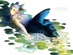 Rule 34 | 1girl, blue hair, dripping, fingernails, fins, fish tail, gills, head fins, highres, hogara, lily pad, mermaid, monster girl, original, pond, scales, sharp fingernails, signature, swimming, tail, water, water drop, wavy hair, webbed hands, yellow eyes