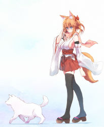 Rule 34 | 1girl, animal ear fluff, animal ears, bare shoulders, black thighhighs, blue eyes, blush, bow, bow panties, breasts, closed mouth, commentary request, detached sleeves, dog, dog request, floral print, fox ears, fox girl, fox tail, hair ribbon, hip vent, japanese clothes, large breasts, long hair, long sleeves, looking to the side, obi, one side up, orange hair, original, panties, photoshop (medium), pink scarf, pleated skirt, red ribbon, red sash, red skirt, ribbon, sandals, sash, sawaya (mizukazu), scarf, sideboob, simple background, skirt, solo focus, tabi, tail, thighhighs, underwear, walking, white panties, wide sleeves