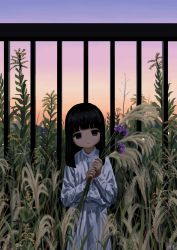 Rule 34 | 1girl, absurdres, artist name, black eyes, black hair, blunt bangs, blunt ends, buttons, clear sky, cowboy shot, evening, fence, field, flower, gradient sky, grass, hands up, highres, holding, holding flower, holding plant, long sleeves, looking at viewer, medium hair, no nose, original, outdoors, overgrown, plant, purple flower, sa1bi, shirt, skirt, skirt set, sky, smile, solo, standing, straight hair, tall grass, weeds, white shirt, white skirt
