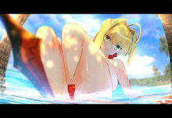 Rule 34 | 10s, 1girl, aestus estus, ahoge, bad id, bad pixiv id, blonde hair, breasts, dappled sunlight, fate/extra, fate (series), green eyes, hair intakes, large breasts, letterboxed, nero claudius (fate), nero claudius (fate) (all), nero claudius (fate/extra), nude, otsumami (bu-bu-heaven), palm tree, partially submerged, solo, sunlight, tree