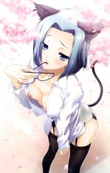 Rule 34 | 1girl, animal ears, bell, black thighhighs, blue eyes, blue hair, blush, breasts, cat ears, cat girl, cat tail, character request, cherry blossoms, collarbone, collared shirt, cowboy shot, day, dress shirt, fingernails, garter straps, hand up, highres, hikage eiji, legs apart, lips, long sleeves, looking at viewer, medium breasts, mouth hold, nipples, no bra, non-web source, open clothes, open shirt, original, outdoors, parted lips, petals, pink lips, pink ribbon, ribbon, shirt, short hair, small breasts, solo, standing, sweatdrop, tail, tail bell, tail ornament, tail ribbon, thighhighs, white shirt