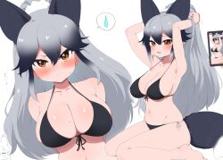 Rule 34 | 2girls, alternate costume, animal ears, armpits, arms up, bikini, black bikini, black hair, blush, breasts, brown eyes, cellphone, chibi, chibi inset, cleavage, collarbone, commentary request, ezo red fox (kemono friends), fang, fox ears, fox tail, frown, gradient hair, grey hair, groin, hair between eyes, highres, kemono friends, large breasts, long hair, looking at viewer, multicolored hair, multiple girls, multiple views, navel, open mouth, phone, ponytail, ransusan, silver fox (kemono friends), simple background, sitting, smartphone, spoken sweatdrop, sweat, sweatdrop, swimsuit, tail, taking picture, translated, tsurime, two-tone hair, v-shaped eyebrows, wariza, white background