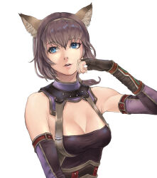 Rule 34 | 1girl, animal ear fluff, animal ears, adventurer (ff11), black gloves, breasts, brown hairband, cactus41747280, cat ears, cat girl, cleavage, eyelashes, final fantasy, final fantasy xi, fingerless gloves, gloves, hair between eyes, hairband, hand up, highres, medium breasts, medium hair, mithra (ff11), open mouth, pink lips, pink pupils, purple hair, simple background, solo, teeth, upper body, upper teeth only, white background