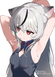 Rule 34 | 1girl, animal ear fluff, animal ears, armpits, black dress, black hair, blue archive, breasts, china dress, chinese clothes, cleavage cutout, clothing cutout, dress, gradient hair, grey hair, hair between eyes, halo, head tilt, highres, kokona (blue archive), long hair, looking afar, mokyutan, multicolored hair, orange eyes, parted lips, presenting armpit, puff of air, sidelocks, simple background, sleeveless, sleeveless dress, small breasts, solo, streaked hair, stretching, sweat, two-tone hair, upper body, white background