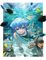 Rule 34 | 1girl, barefoot, blue eyes, bracelet, bubble, clownfish, coral, fish, hat, ikamusume, jewelry, sea turtle, shinryaku! ikamusume, smile, suketoudara (artist), tentacle hair, turtle, underwater