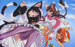 Rule 34 | 00s, 3girls, animal ears, bad id, bad yandere id, black hair, braid, brown hair, cat ears, cat tail, cuffs, dog ears, eneus, flying, frills, garter belt, glasses, gloves, hasegawa suzuho, highres, isono satoshi, long hair, magician&#039;s academy, maid, multiple girls, open mouth, panties, purple eyes, red eyes, red hair, short hair, tail, tanarot, thighhighs, underwear, wallpaper