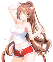 Rule 34 | 1girl, :d, absurdres, animal ear fluff, animal ears, arm behind head, arm up, breasts, brown hair, camisole, cleavage, commentary request, commission, crop top, dolphin shorts, fang, hand up, high ponytail, highres, long hair, looking at viewer, mamel 27, medium breasts, midriff, navel, open mouth, original, ponytail, red shorts, short shorts, shorts, simple background, smile, solo, strap slip, tail, very long hair, white background, white camisole, yellow eyes