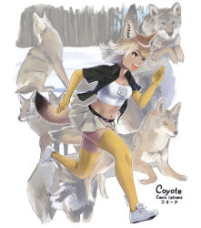 Rule 34 | 1girl, :d, american flag, animal, animal ears, beleven, belt, black shirt, breasts, brown hair, character name, cleavage, collarbone, collared shirt, coyote, coyote (kemono friends), creature and personification, crop top, dress shirt, elbow gloves, extra ears, floating hair, from side, full body, gloves, gradient hair, highres, kemono friends, light brown hair, medium hair, microskirt, midriff, multicolored hair, navel, open clothes, open mouth, open shirt, orange eyes, pleated skirt, running, shirt, shoes, short sleeves, skirt, smile, solo focus, stomach, tail, tan, taut clothes, thighhighs, twitter username, virtual youtuber, white hair, wing collar, yellow gloves, yellow thighhighs, zettai ryouiki