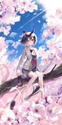 Rule 34 | 1girl, :o, animal ears, aqua eyes, barefoot, black dress, black hair, blush, breasts, cherry blossoms, cloud, contrail, dress, eishin flash (umamusume), grey jacket, highres, horse ears, horse girl, horse tail, in tree, jacket, long sleeves, looking at viewer, medium breasts, open clothes, open jacket, outdoors, sash, shoes, unworn shoes, short hair, sitting, sitting in tree, solo, tail, toes, tree, twitter username, umamusume, yomean!