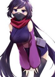 Rule 34 | 1girl, absurdres, ayame (gundam build divers), black mask, black thighhighs, breasts, commentary request, elbow gloves, fingerless gloves, gloves, gundam, gundam build divers, highres, large breasts, long hair, looking at viewer, low ponytail, mask, mouth mask, ninja, ninja mask, purple eyes, purple hair, red scarf, scarf, sidelocks, solo, split ponytail, thighhighs, tomoka notsu, upper body, very long hair, white background