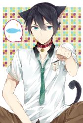 Rule 34 | 10s, 1boy, animal ears, bad id, bad pixiv id, bell, neck bell, black hair, blue eyes, cat boy, cat ears, cat tail, collar, fish, free!, highres, kemonomimi mode, male focus, miura (ayame), nanase haruka (free!), necktie, paw pose, school uniform, tail, thought bubble