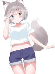 Rule 34 | 1girl, absurdres, animal ear fluff, animal ears, ashitaba kemo, blue eyes, blue shorts, blush, breasts, closed mouth, collarbone, commentary request, crop top, grey hair, heterochromia, highres, looking at viewer, medium breasts, midriff, navel, original, shirt, short hair, short shorts, short sleeves, shorts, simple background, solo, tail, thigh gap, white background, white shirt, yellow eyes