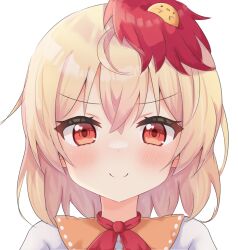 Rule 34 | 1girl, ahoge, animal, animal on head, bird, bird on head, blush, chick, closed mouth, commentary request, looking at viewer, multicolored hair, niwatari kutaka, on head, portrait, red eyes, red hair, serichii, short hair, simple background, smile, split mouth, touhou, two-tone hair, white background