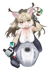 Rule 34 | 1girl, animal ears, bare shoulders, breasts, cat ears, cat girl, cat tail, cleavage, elbow gloves, extra ears, gloves, green eyes, grey hair, highres, jungle cat (kemono friends), kemono friends, kemono friends v project, large breasts, long hair, looking at viewer, motor vehicle, official art, pants, ribbon, shirt, simple background, sleeveless, sleeveless shirt, solo, tail, virtual youtuber, yoshizaki mine