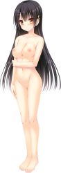 Rule 34 | 1girl, amatsu sasha, any (trueblue), barefoot, black hair, blush, breasts, collarbone, completely nude, crescent, crescent hair ornament, feet, full body, grabbing own arm, hair ornament, hairclip, hand on own thigh, hand on thigh, highres, large breasts, long hair, looking at viewer, natsu no majo no parade, navel, nipples, no pussy, nude, official art, solo, toes, transparent background, yellow eyes