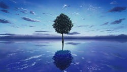 Rule 34 | blue sky, cloud, commentary request, landscape, leaf, no humans, ocean, original, plant, reflection, reflective water, scenery, shuu illust, sky, tree