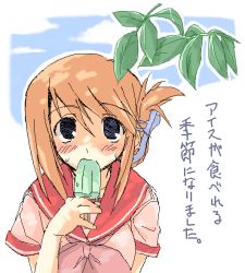 Rule 34 | 00s, 1girl, blue eyes, blush, brown hair, folded ponytail, food, ice cream, komaki manaka, leaf, looking at viewer, popsicle, sailor collar, school uniform, solo, to heart (series), to heart 2, upper body