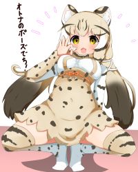 Rule 34 | 1girl, :3, animal ears, berusa (berutoo), black hair, blonde hair, blush, bow, bowtie, cat ears, cat girl, cat tail, commentary request, fang, geoffroy&#039;s cat (kemono friends), hair ornament, high-waist skirt, highres, kemono friends, long hair, long sleeves, looking at viewer, multicolored hair, navel, ok sign, open mouth, shirt, skirt, smile, solo, spread legs, squatting, tail, thighhighs, translation request, twintails, yellow eyes