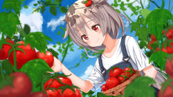 Rule 34 | 1girl, ame., azur lane, basket, blue sky, blush, closed mouth, cloud, collarbone, commentary request, day, dutch angle, food-themed hair ornament, hair between eyes, hair flaps, hair ornament, hand up, montpelier (azur lane), outdoors, overalls, red eyes, shirt, short sleeves, silver hair, sky, smile, solo, tomato, tomato hair ornament, white shirt