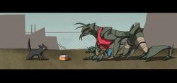 Rule 34 | alien, cat, pet food, chain-link fence, christopher johnson, district 9, fence, fighting stance, huutaarisu, letterboxed, little cj, no humans, outdoors, prawn (district 9)