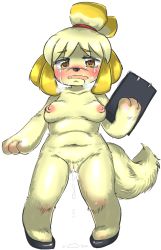 Rule 34 | animal crossing, animal hands, artist request, blush, breasts, breath, clipboard, crying, cum, cumdrip, dog, furry, heart, heart-shaped pupils, isabelle (animal crossing), medium breasts, navel, nintendo, nipples, open mouth, plump, simple background, symbol-shaped pupils, tail, yellow eyes