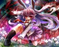 Rule 34 | 1girl, animal ears, bamboo, bamboo forest, breasts, rabbit ears, dress shirt, expressionless, fireflies, fisheye, flower, forest, full moon, gobou (gbu), grass, kneeling, long hair, long sleeves, looking at viewer, moon, motion blur, nature, necktie, night, outdoors, pleated skirt, purple hair, red eyes, reisen udongein inaba, shirt, shoes, skirt, socks, solo, touhou