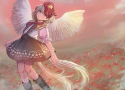 Rule 34 | 1girl, animal, animal on head, arms at sides, bird, bird on head, bird tail, bird wings, black footwear, chick, chicken, feathered wings, khylimei, looking at viewer, meadow, multicolored hair, niwatari kutaka, on head, open mouth, puffy short sleeves, puffy sleeves, red eyes, red neckwear, red sky, shirt, short hair, short sleeves, sky, tail, touhou, two-tone hair, white shirt, wings