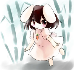 Rule 34 | 1girl, animal ears, blush, brown hair, carrot, carrot necklace, chibi, female focus, highres, inaba tewi, jewelry, looking at viewer, necklace, pendant, rabbit ears, rabbit girl, rabbit tail, short hair, smile, solo, tail, touhou, yume shokunin