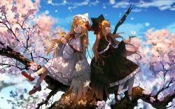 Rule 34 | 2girls, black dress, black footwear, black hat, black wings, blonde hair, blue sky, blurry, blurry background, bow, capelet, dappled sunlight, day, dress, eho (icbm), feathered wings, flower, hand up, hat, hat bow, highres, holding, holding flower, in tree, lily black, lily white, long hair, long sleeves, looking up, multiple girls, outdoors, pantyhose, red bow, red footwear, sash, shoes, sitting, sky, socks, spring (season), sunlight, touhou, tree, white dress, white flower, white hat, white legwear, white wings, wide sleeves, wings